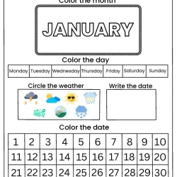 January Calendar Activity Worksheet