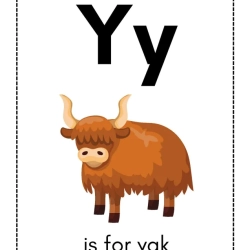 Alphabet Flash Card At Home Worksheet