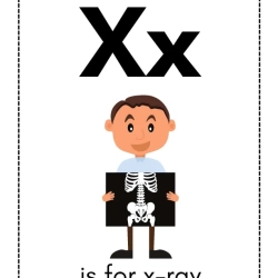 Alphabet Flash Card Easy Worksheet