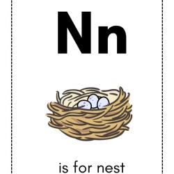 Alphabet Flash Card For 3rd Grade Worksheet