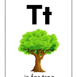 Alphabet Flash Card For 6th Grade Worksheet