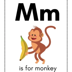 Alphabet Flash Card For Grade 2 Worksheet