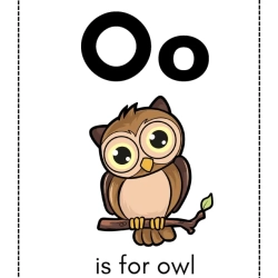 Alphabet Flash Card For Grade 3 Worksheet