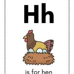 Alphabet Flash Card For Kids Worksheet