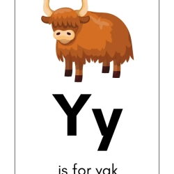 Free Alphabet Flash Card At Home Worksheet