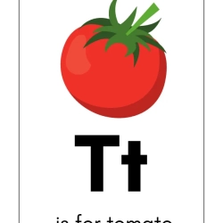 Free Alphabet Flash Card For 6th Grade Worksheet