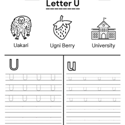 Write Alphabet In The Lines For Grade 6 Worksheet