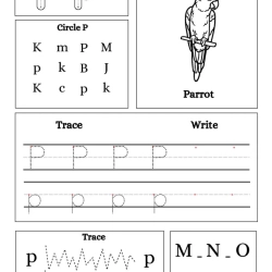 Write Trace Color Alphabet For 4th Grade Worksheet