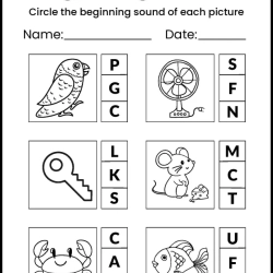 Circle The Begining Sound Free Download Worksheet