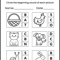 Circle The Begining Sound To Print Worksheet