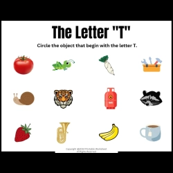 Circle The Letter For 6th Grade Worksheet