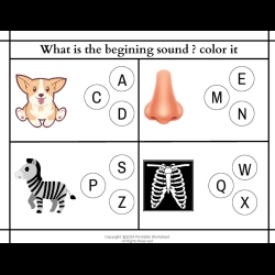 Color The Begining Sound Pdf Free Worksheet