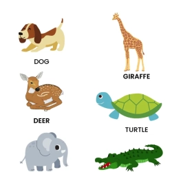 Diy Toddler Book For 4th Grade Worksheet