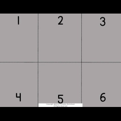 Farm Bussy Book Grade 6 Worksheet