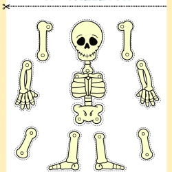 Human Anatomy Bussy Book For 3rd Grade Worksheet