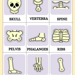 Human Anatomy Bussy Book For 4th Grade Worksheet