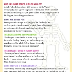 Human Anatomy Bussy Book For Grade 4 Worksheet