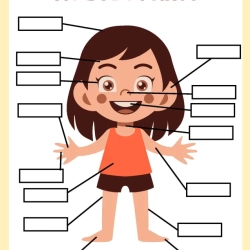 Human Anatomy Bussy Book Free Download Worksheet