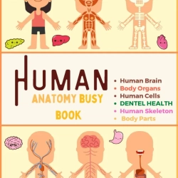 Human Anatomy Bussy Book Worksheet