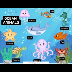 Kids Binder Worksheet Worksheets