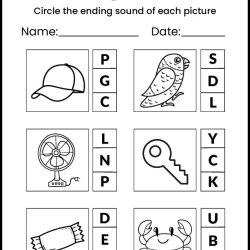 Circle The Ending Letter Free Download Worksheet