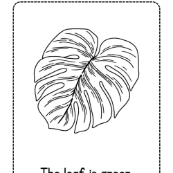 Color Word Coloring Sheet For Grade 3 Worksheet
