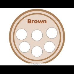 Coloring Sorting Activity For Kindergarten Worksheet