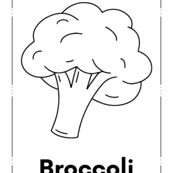 Kids Coloring Pages 2nd Grade Worksheet
