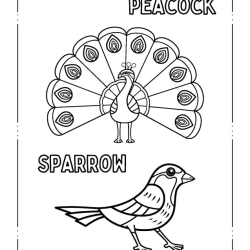 Kids Coloring Pages 3rd Grade Free Worksheet