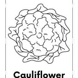 Kids Coloring Pages 3rd Grade Worksheet