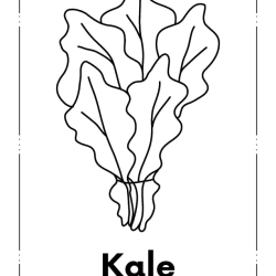 Kids Coloring Pages Grade 1 Free Printable Worksheet