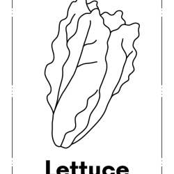 Kids Coloring Pages Grade 1 Free Worksheet