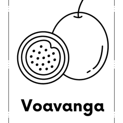 Kids Coloring Pages Grade 1 Worksheet