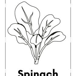 Kids Coloring Pages Grade 2 Free Worksheet