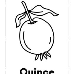 Kids Coloring Pages Grade 5 Worksheet