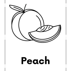 Kids Coloring Pages Grade 6 Worksheet