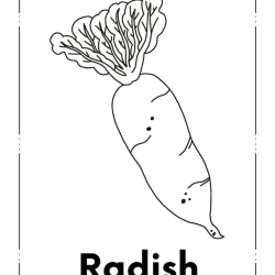 Kids Coloring Pages Kindergarten Free Worksheet