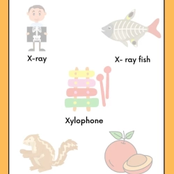 Cut And Paste Activity 2nd Grade Worksheet