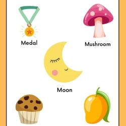 Cut And Paste Activity At Home Worksheet