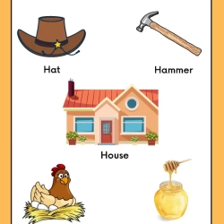 Cut And Paste Activity For Grade 3 Worksheet