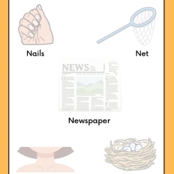 Cut And Paste Activity Free Printable Worksheet