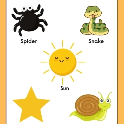 Cut And Paste Activity Grade 3 Worksheet