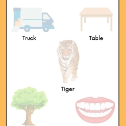 Cut And Paste Activity Grade 6 Worksheet