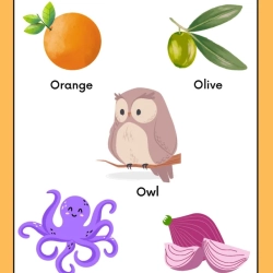 Cut And Paste Activity Printable Free Worksheet