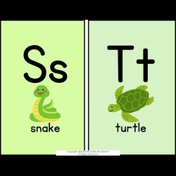 Alphabet Flashcards For 1st Grade Worksheet