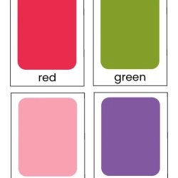Color Flashcards Worksheet Worksheets