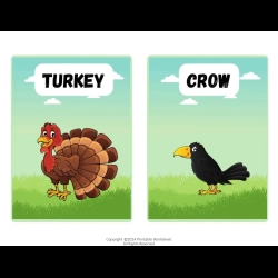Farm Animals Flashcards For 1st Grade Worksheet