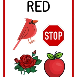 Free Colors Flashcards Printable Worksheet