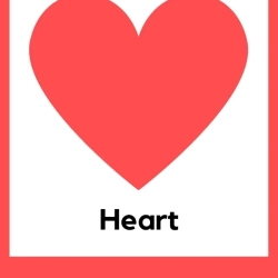 Free Flashcards Shapes Worksheet