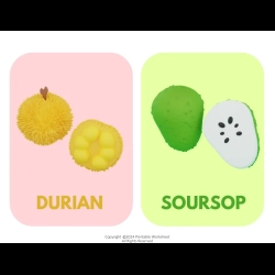 Fruit Flashcards For 2nd Grade Worksheet